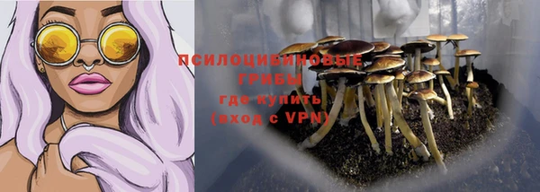 2c-b Инсар