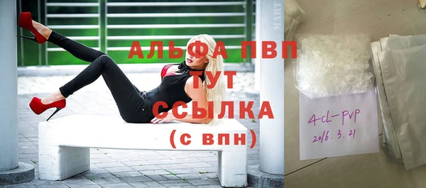 2c-b Инсар
