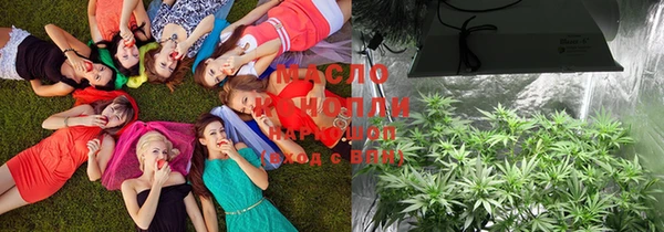 2c-b Инсар