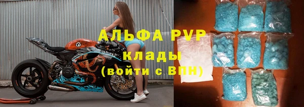 2c-b Инсар