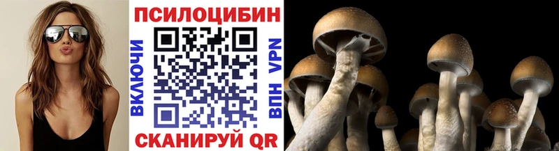 хочу   Исилькуль  Галлюциногенные грибы GOLDEN TEACHER 