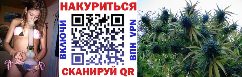 kraken Исилькуль Канабис MAZAR